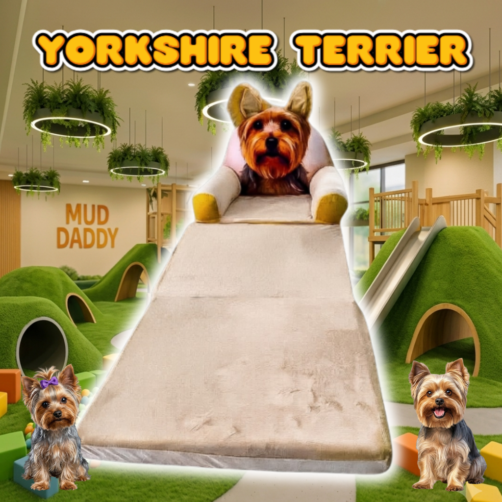 Sofá Cama Yorkshire terrier 2 en 1