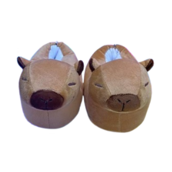 Babuchas O Pantuflas De Capibara