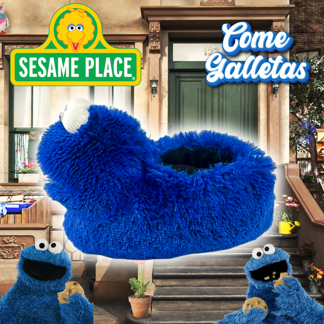 Babuchas O Pantuflas De Plaza Sésamo Lucas Comegalletas
