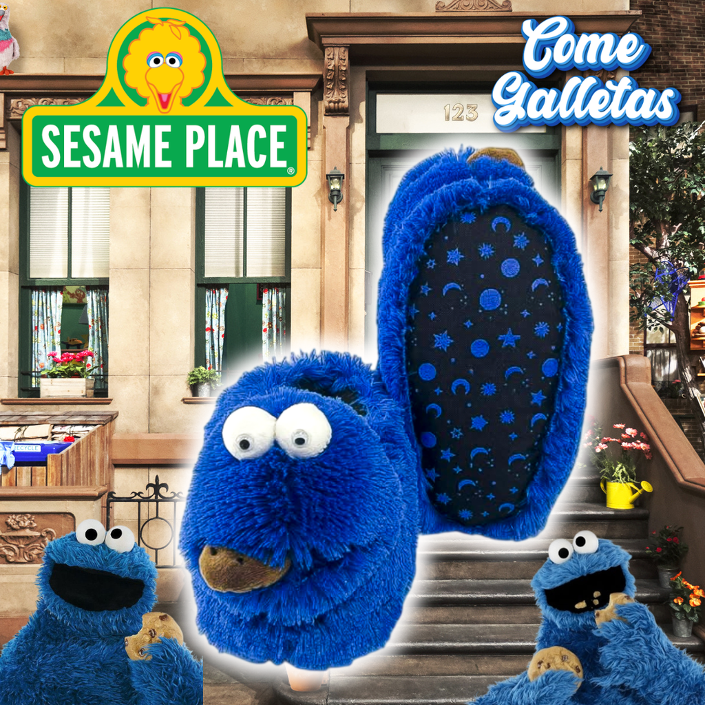 Babuchas O Pantuflas De Plaza Sésamo Lucas Comegalletas