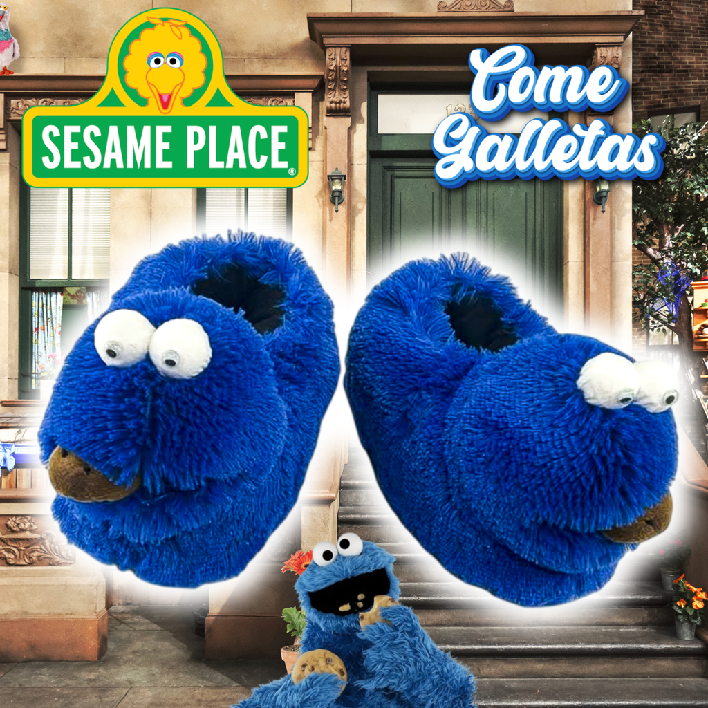 Babuchas O Pantuflas De Plaza Sésamo Lucas Comegalletas