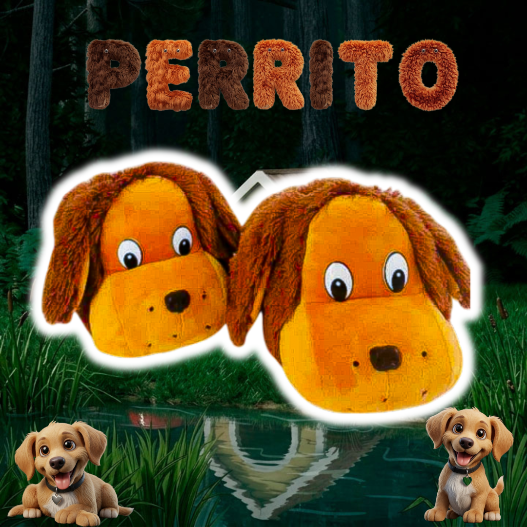 Babuchas O Pantuflas De Perro