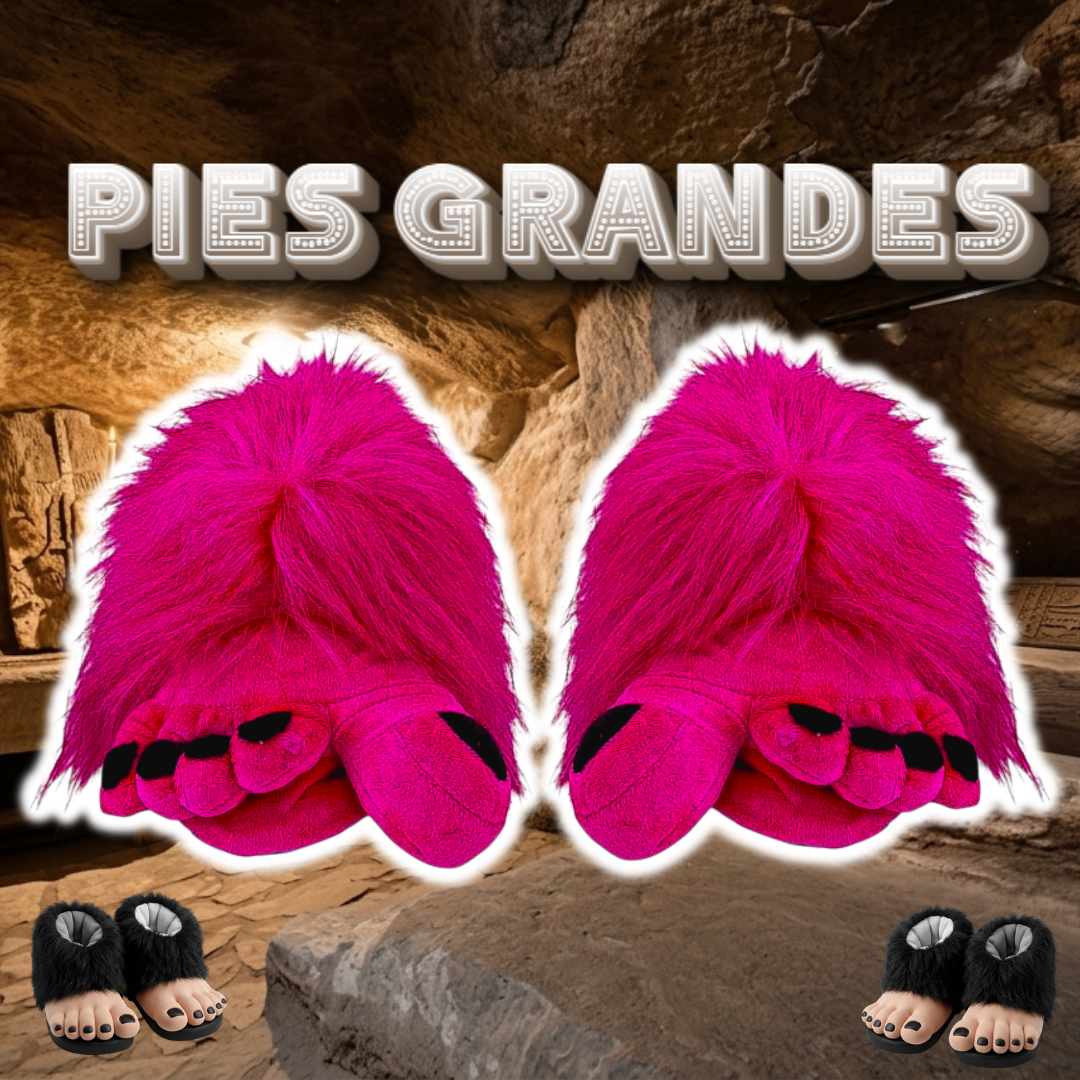 Babuchas O Pantuflas De Pies