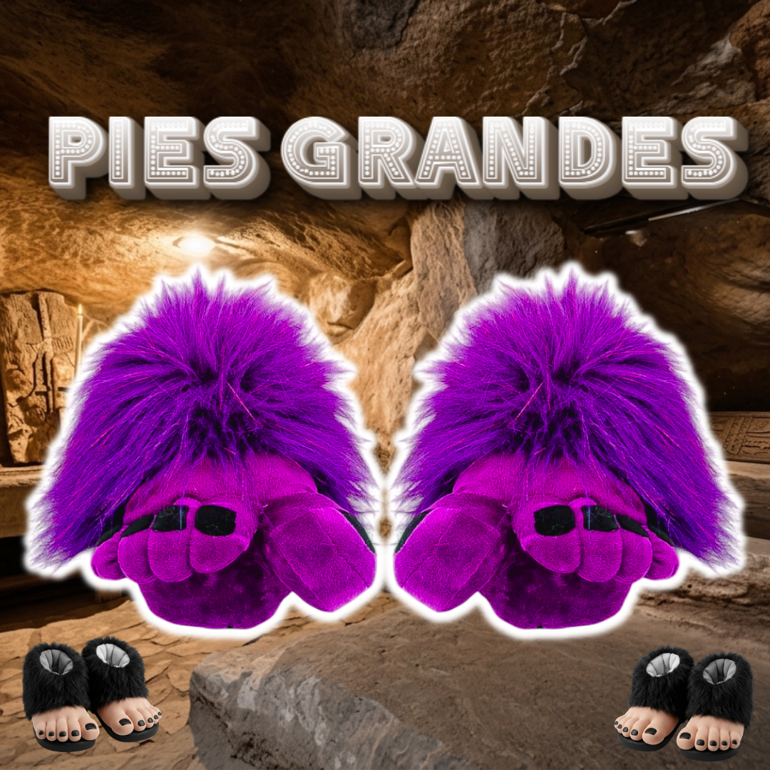 Babuchas O Pantuflas De Pies