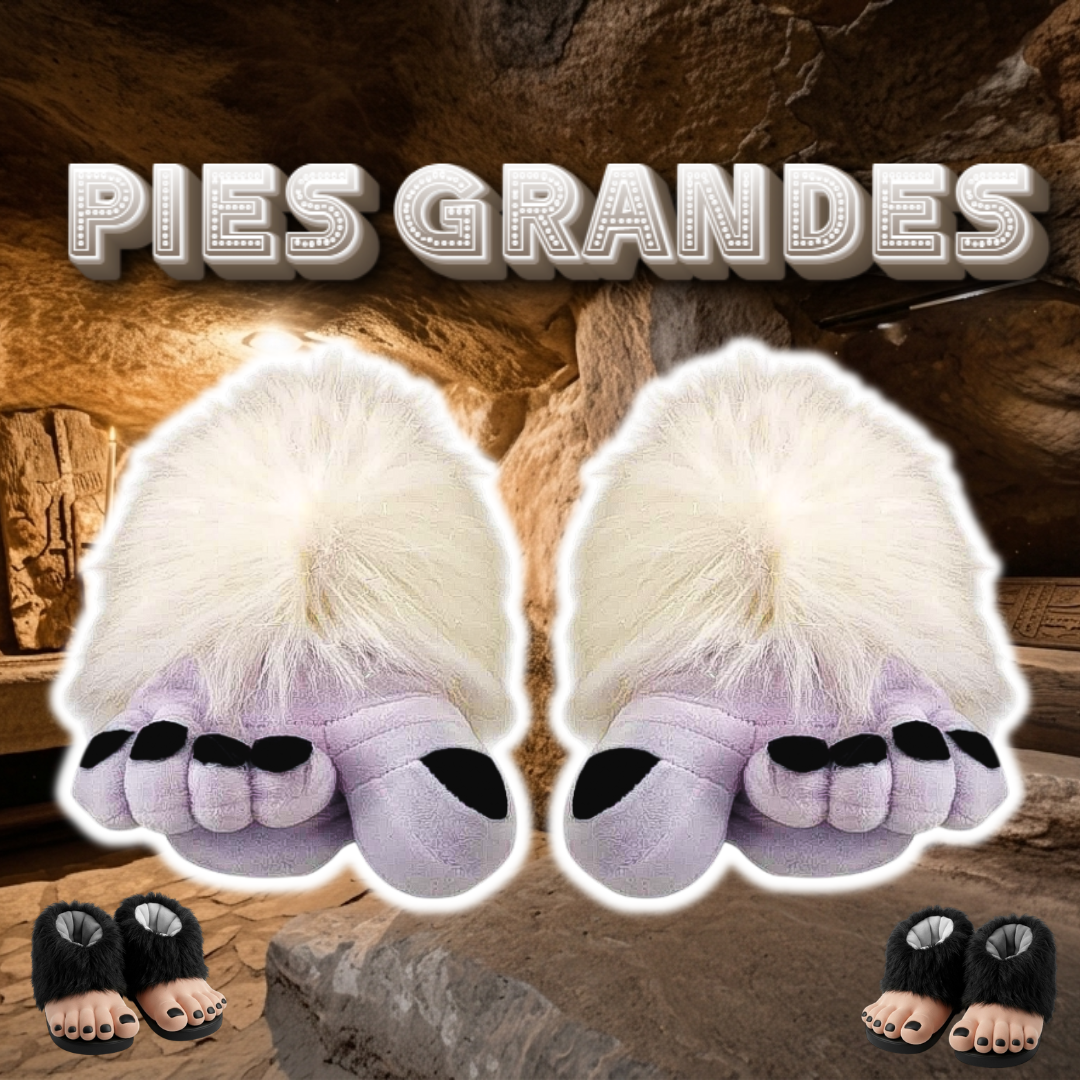 Babuchas O Pantuflas De Pies