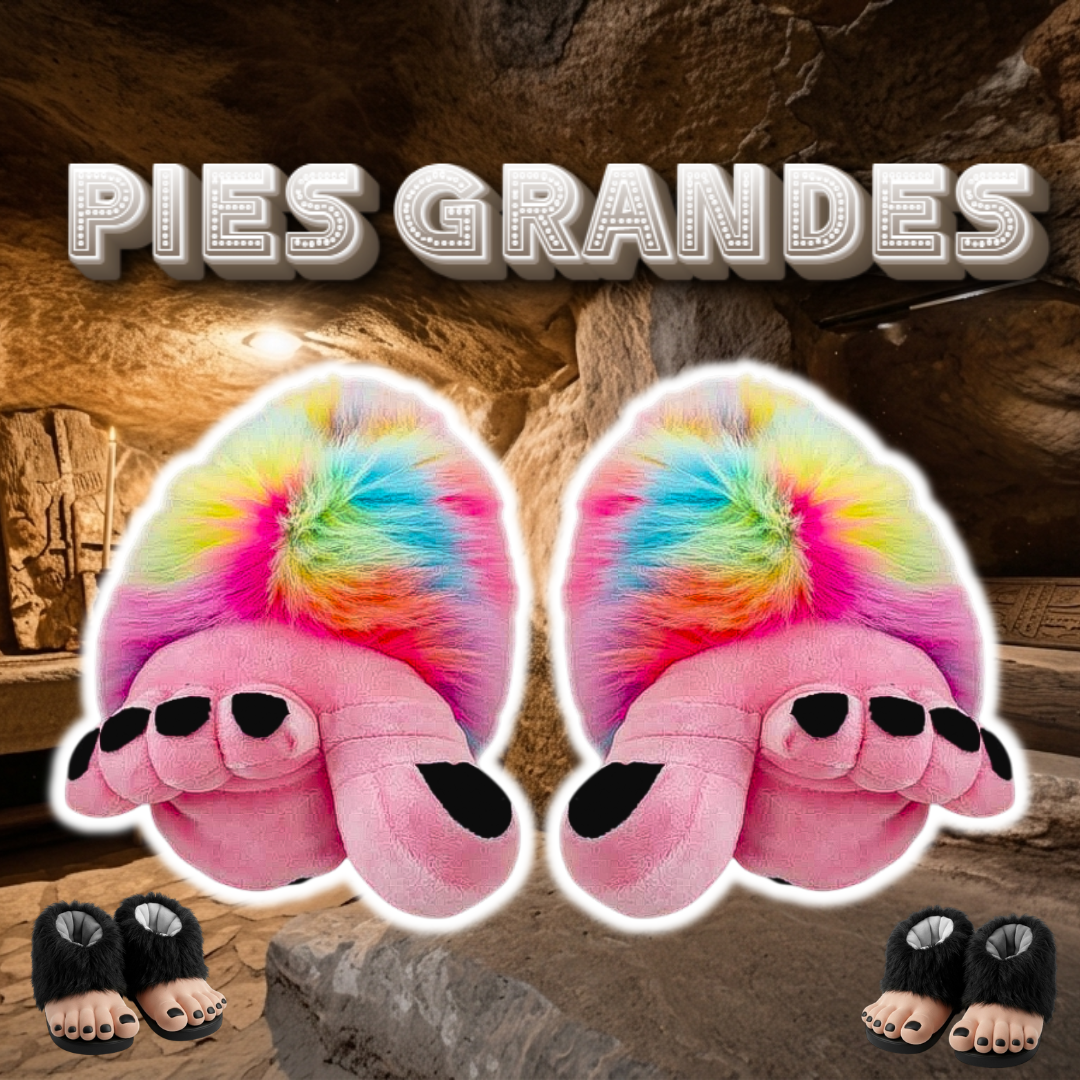 Babuchas O Pantuflas De Pies