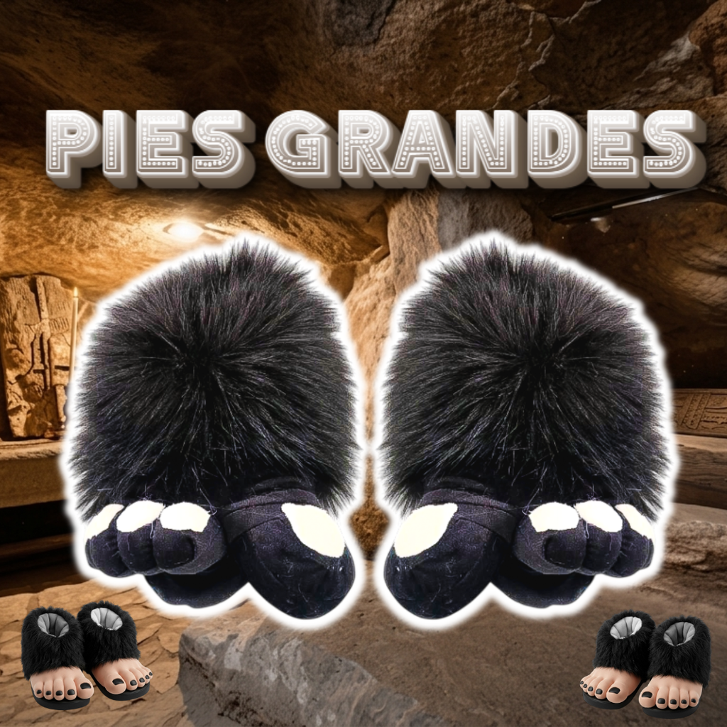 Babuchas O Pantuflas De Pies