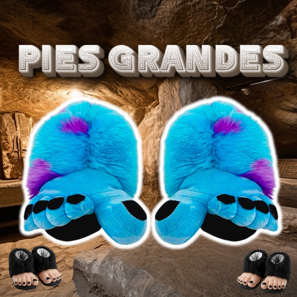 Babuchas O Pantuflas De Pies