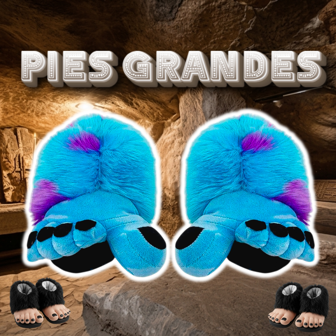 Babuchas O Pantuflas De Pies