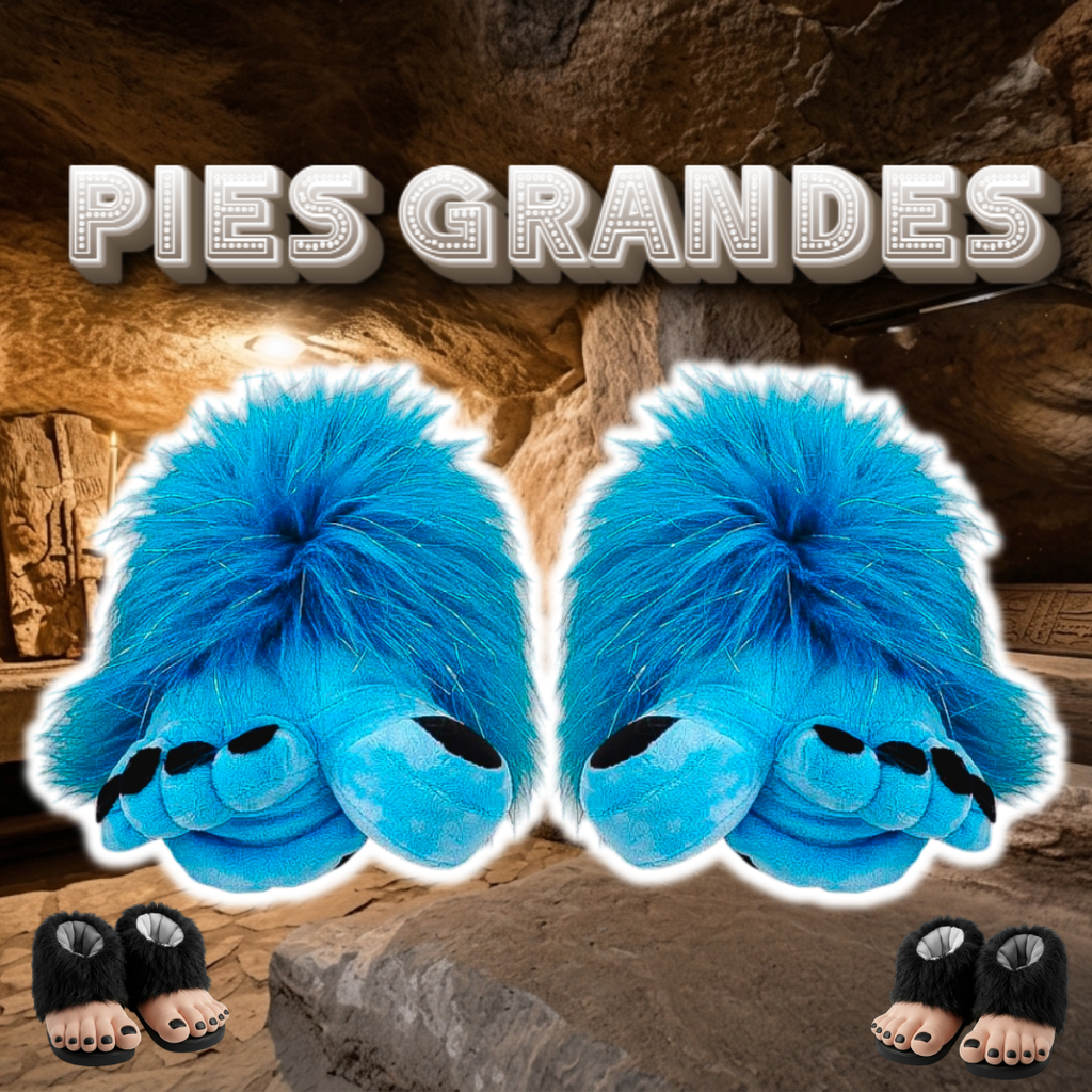 Babuchas O Pantuflas De Pies