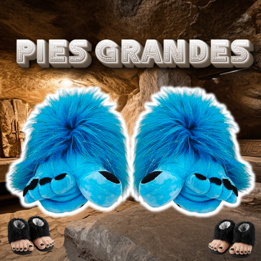 Babuchas O Pantuflas De Pies