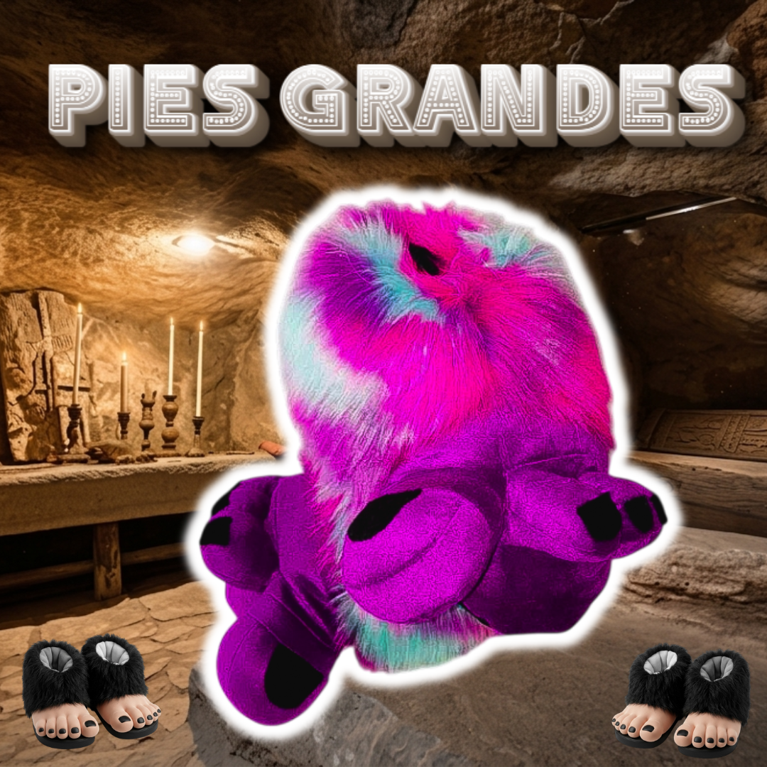 Babuchas O Pantuflas De Pies