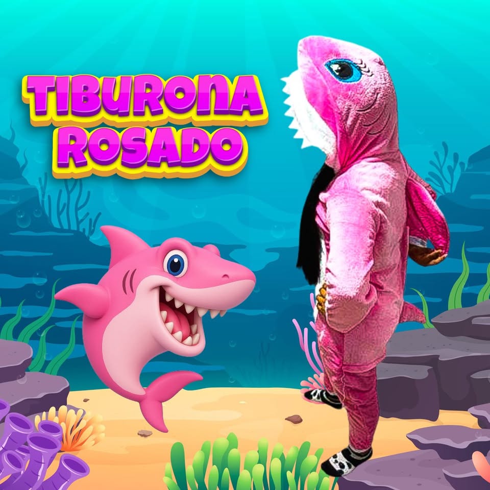 Kigurumi O Pijama Térmica De Tiburona