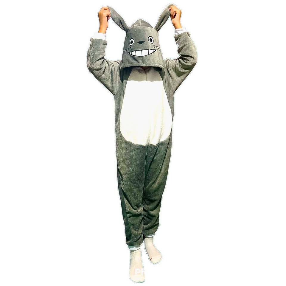 Kigurumi O Pijama Térmica Totoro
